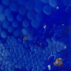 Jos&eacute; De Le&oacute;n. Constelación azul. :: 2003.  130x97cm.  óleo/lino
